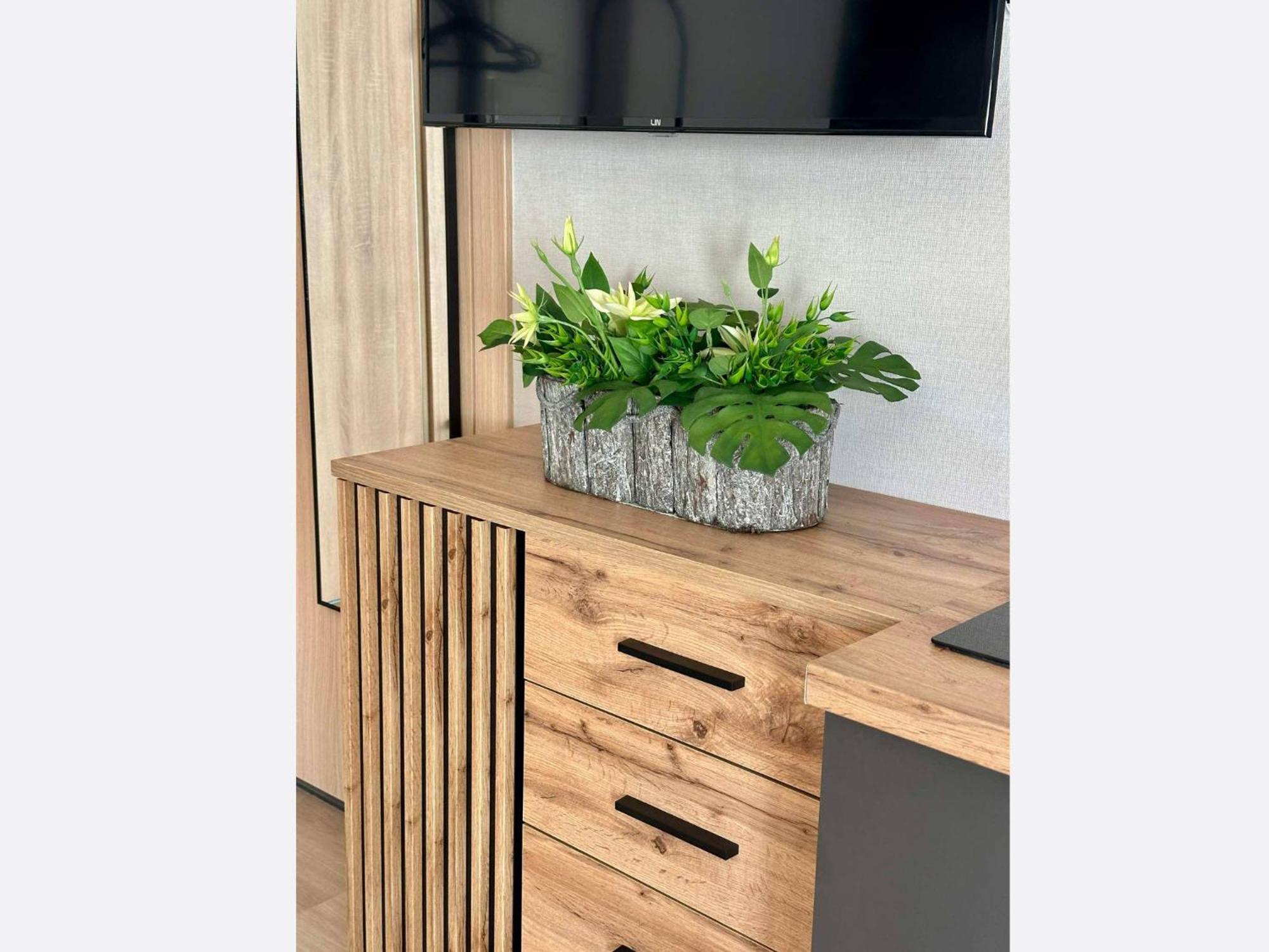 Jungle Apartment — Photos 2